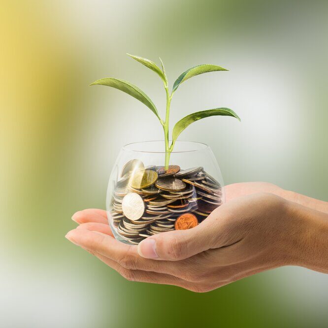A hand holding a cup filled with coins. In the cup a plant is growing out of the money, symbolizing that you must find different funding resources for your client.